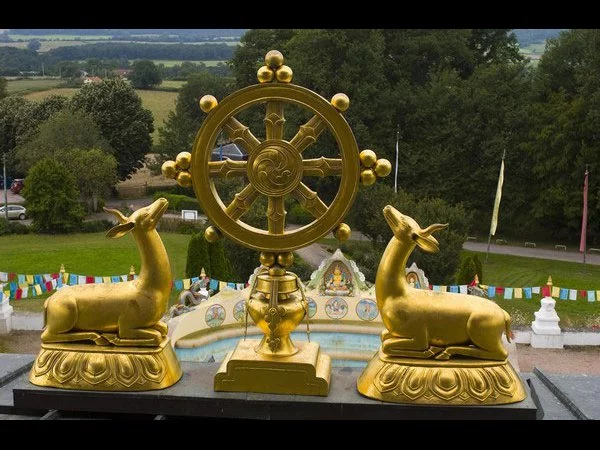 Dharma et vie quotidienne