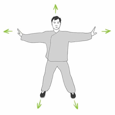 Exercices Qi Gong, posture bois